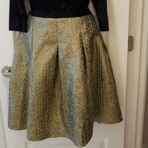 Formal skirt from Cato size 14 , amazing color